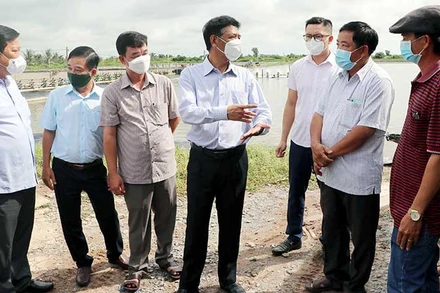 Bí thư Tỉnh ủy Sóc Trăng Lâm Văn Mẫn (thứ tư từ trái sang) thị sát vùng nuôi tôm công nghiệp công nghệ cao của tỉnh Sóc Trăng.