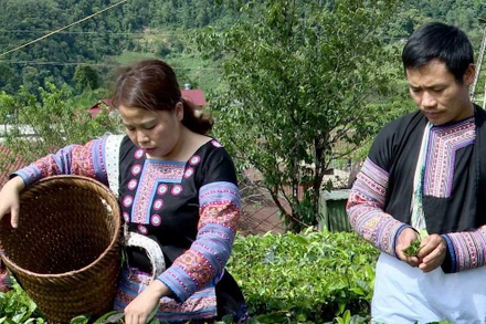 Trang phục của đồng bào H'Mông, xã Pà Cò, huyện Mai Châu, tỉnh Hòa Bình.