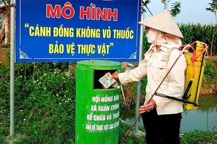 Mô hình Cánh đồng không vỏ thuốc bảo vệ thực vật ở xã Tuân Chính, huyện Vĩnh Tường (Vĩnh Phúc). (Ảnh CỤC BẢO VỆ THỰC VẬT)