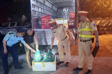 Lực lượng chức năng tỉnh Quảng Ninh phát hiện, bắt giữ vụ vận chuyển thực phẩm không rõ nguồn gốc.