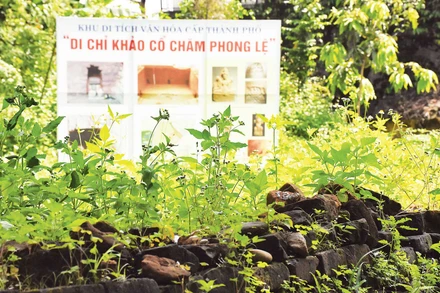Hơn 10 năm sau khai quật, khảo cổ, hiện nay Di chỉ khảo cổ Chăm Phong Lệ đang tiếp tục bị hoang hóa.