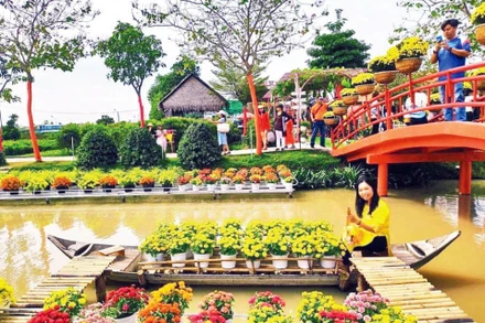 Du khách tham quan, trải nghiệm “Cánh đồng hoa hồng” ở thành phố Sa Đéc.