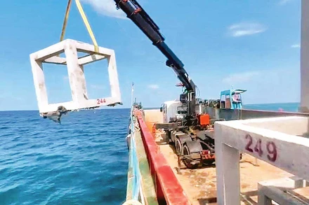 Đưa cấu kiện rạn nhân tạo thả xuống biển làm nơi trú ngụ cho các loài sinh vật biển.