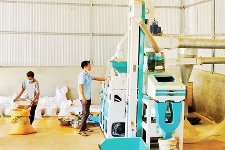 Đóng gói gạo Sóc Nê, một trong những sản phẩm OCOP tiêu biểu của huyện Bù Đốp, tỉnh Bình Phước.