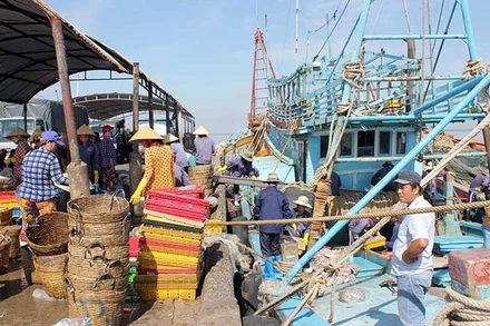 Tỉnh Bến Tre tập trung quản lý chặt chẽ tàu cá hoạt động khai thác hải sản trên biển.