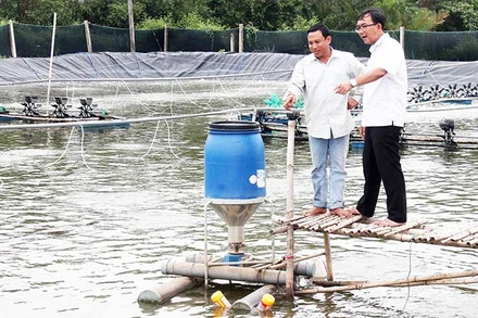 Mô hình nuôi tôm công nghệ cao của đồng bào Khmer ở thị xã Vĩnh Châu, tỉnh Sóc Trăng. (Ảnh NGUYỄN PHONG)