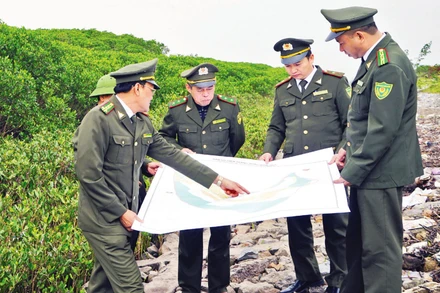 Những cánh rừng ngập mặn vùng ven biển Kim Sơn có thể khai thác phát triển du lịch gắn với bảo tồn thiên nhiên.