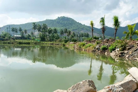 Một số ao, đìa bị bỏ hoang dù đang bước vào vụ mới.