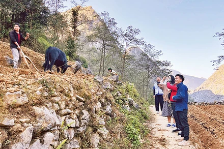 Sùng Mí Phìn dẫn khách du lịch trải nghiệm cuộc sống, sinh hoạt của người H’Mông.