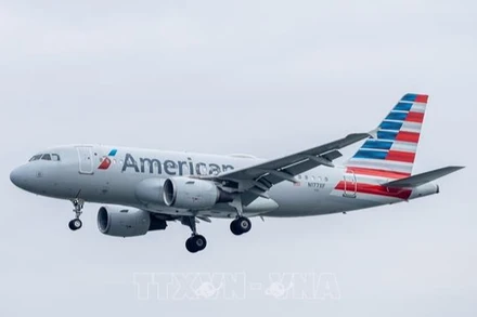 Máy bay của hãng hàng không American Airlines hạ cánh xuống sân bay Ronald Reagan Washington, Mỹ ngày 24/12/2024. (Ảnh: THX/TTXVN) 