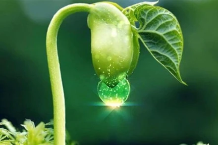 32 doanh nghiệp chốt trả cổ tức, tuần từ 11 đến 15/7