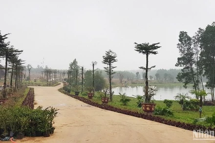 Công trình đường bê-tông do ông Bùi Mạnh Dũng xây dựng trái phép trên đất nông nghiệp tại khu giáo dục trải nghiệm Trưng Vương Garden.