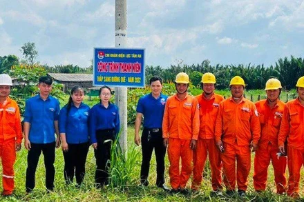 Đoàn viên, thanh niên ngành điện miền nam tham gia thực hiện công trình thắp sáng đường quê