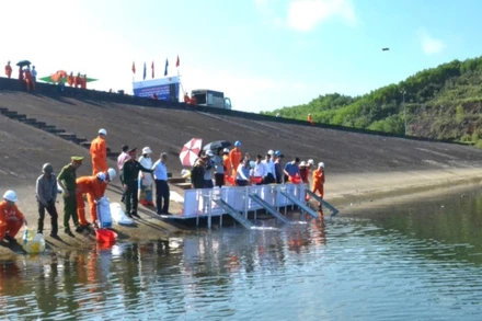 Thả 100 nghìn con cá giống xuống lòng hồ Thủy điện Sông Tranh 2. 