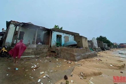Khu vực biển thôn Phước Thiện, xã Bình Hải, huyện Bình Sơn liên tục sạt lở, sóng biển lấn sâu vào nhà dân gây nguy hiểm khi bão đổ bộ.
