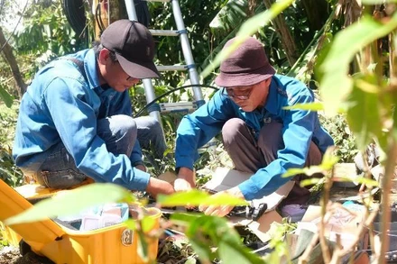 Hàn cáp quang, ứng cứu BTS mất liên lạc tại Quảng Nam.