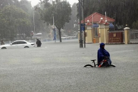 Mưa lớn làm nhiều tuyến đường ở trung tâm thành phố Huế ngập sâu, phương tiện giao thông di chuyển rất khó khăn. (Ảnh: Đỗ Trưởng/TTXVN)