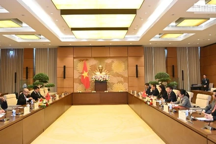 Phối hợp công tác tham mưu hiệu quả cơ quan lập pháp hai nước Việt Nam, Maroc 