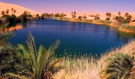 Ảnh minh họa. (Nguồn: Reuters)