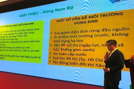 Một chuyên gia kinh tế trình bày tham luận tại Diễn đàn.