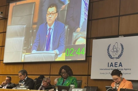 Đại sứ Việt Nam Vũ Lê Thái Hoàng phát biểu tại Phiên họp.