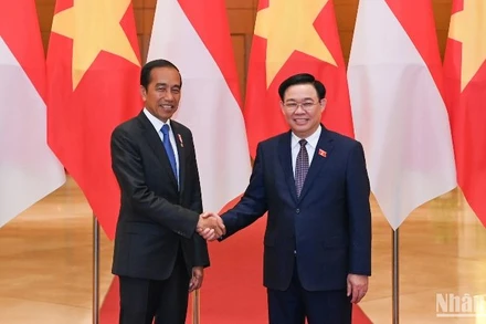 Chủ tịch Quốc hội Vương Đình Huệ và Tổng thống Indonesia Joko Widodo. (Ảnh: DUY LINH)
