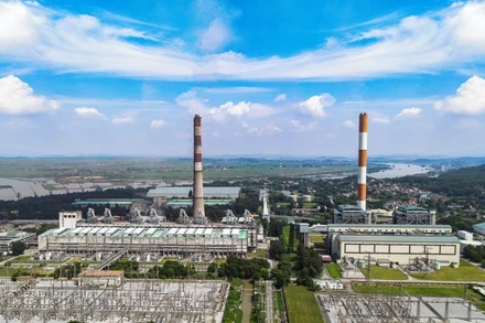 Công ty Cổ phần Nhiệt điện Phả Lại.