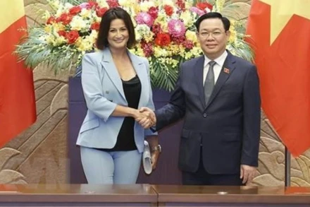 Chủ tịch Thượng viện Bỉ kết thúc tốt đẹp chuyến thăm Việt Nam