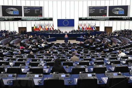 Một phiên họp Nghị viện châu Âu tại Strasbourg, Pháp, ngày 18/4/2023. (Ảnh: AFP/TTXVN)