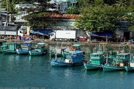 Tàu cá neo đậu tại khu vực cảng An Thới, thành phố Phú Quốc, tỉnh Kiên Giang. (Ảnh: Hồng Đạt/TTXVN)