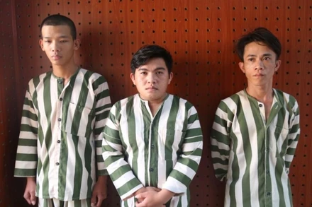  Các đối tượng bị tạm giữ. (Ảnh: Công an cung cấp).