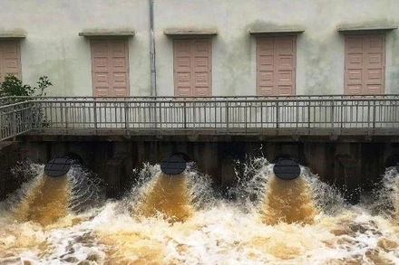 Các doanh nghiệp khai thác công trình thủy lợi ở Thanh Hóa đang vận hành các trạm bơm tiêu thoát nước, bảo vệ cây trồng, khu dân cư.