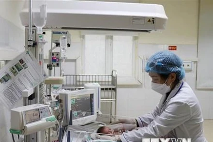 (Ảnh minh họa: Hoàng Nguyên/TTXVN)