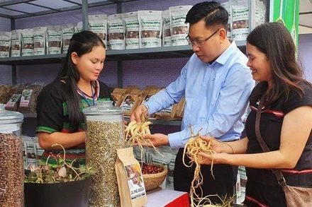 Du khách tìm hiểu về dược liệu trên địa bàn huyện Đăk Glei. 