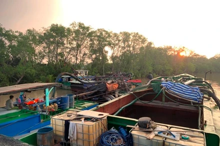 Các phương tiện khai thác cát trái phép trên địa bàn huyện Tân Phú Đông (Tiền Giang) bị lực lượng chức năng bắt giữ.