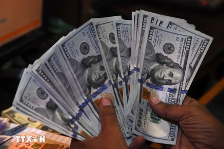 Đồng 100 USD. (Ảnh: AFP/TTXVN)
