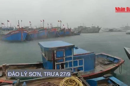 Trưa 27/9, đảo Lý Sơn đã bắt đầu mưa to, biển động dữ dội