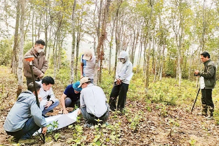 Đo đạc, kiểm đếm để bồi thường cho người dân tại xã Trung Mỹ, huyện Bình Xuyên.