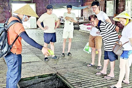 Hướng dẫn viên du lịch tác nghiệp tại cồn Sơn (Cần Thơ).