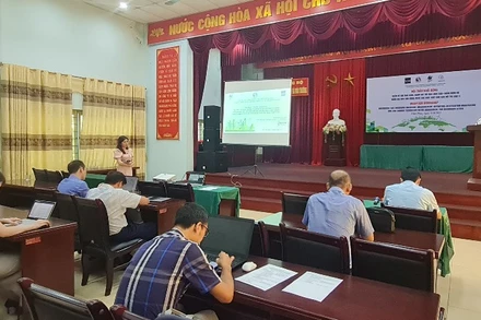 Toàn cảnh Hội thảo.