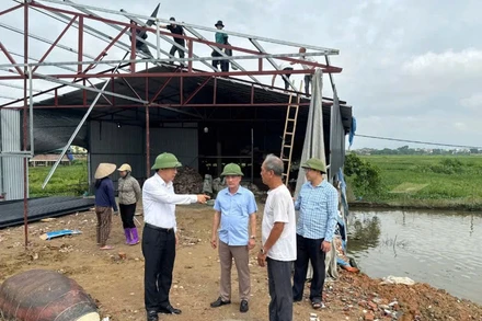 Lãnh đạo huyện Vĩnh Tường chỉ đạo tháo dỡ công trình vi phạm tại xã Lũng Hòa.