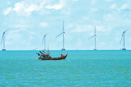 Cà Mau có nhiều tiềm năng, lợi thế phát triển kinh tế với tầm nhìn dài hơi về phía biển.