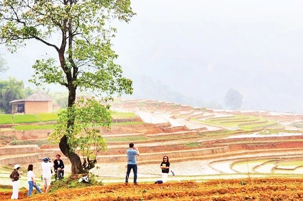 Khách du lịch lưu lại khoảnh khắc đẹp khi tới thăm Y Tý.