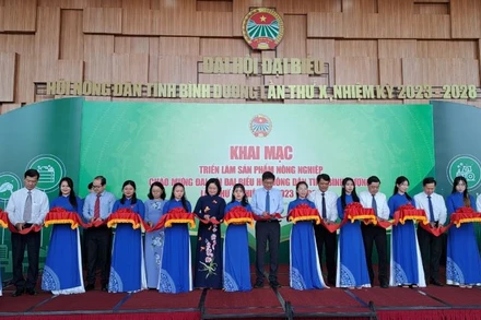 Các đại biểu thực hiện nghi thức khai mạc triển lãm.
