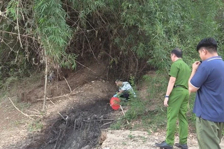 Nguồn nước thải từ Trại lợn xả xuống Sông Bé. 