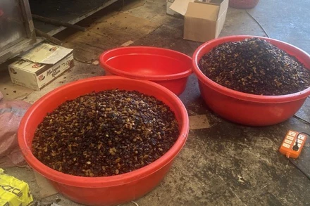 Trộn nho khô có nguồn gốc Ấn Độ để đóng gói thành nho khô có nguồn gốc do Mỹ sản xuất.