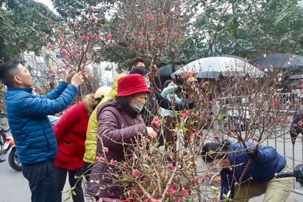 Các chợ hoa Xuân là điểm đến yêu thích của người dân mỗi dịp Tết đến.