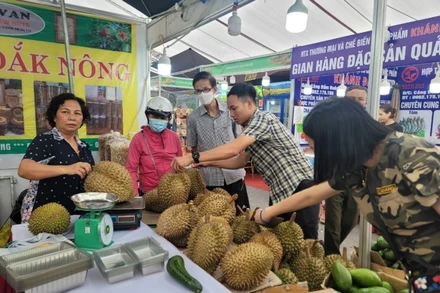 Người tiêu dùng Thủ đô thưởng thức, mua sắm các trái cây đặc sản của tỉnh Đắk Nông.