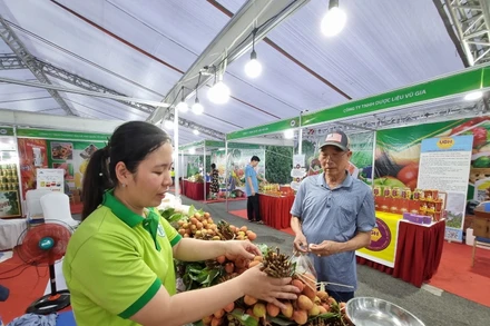 Người tiêu dùng tìm mua các loại trái cây đặc sản của các tỉnh, thành phố. 