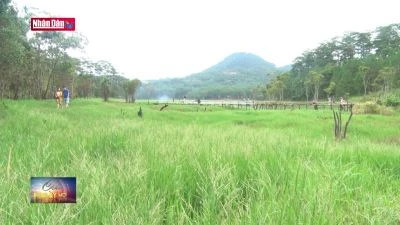 Đà Lạt có khu du lịch tiêu biểu Châu Á - Thái Bình Dương đầu tiên cả nước